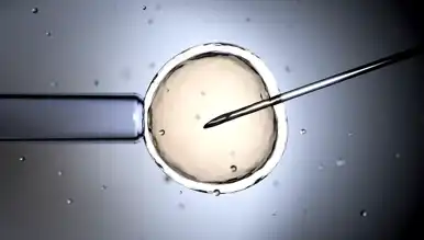 Anne Karnındaki Bebeklerin Zekası Ölçülebilecek mi?