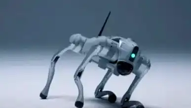 Robot Köpek Luna: İnsan Gibi Öğrenen Yapay Zeka