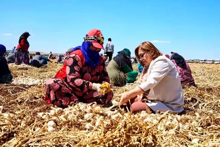 Gaziantep'te Tarım Zirvesi ve GAPTARIM Fuarı Başlıyor!
