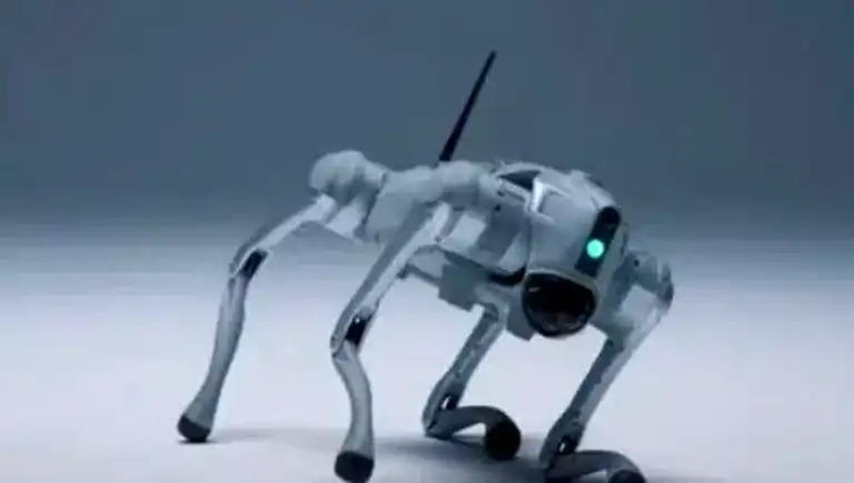 Robot Köpek Luna: İnsan Gibi Öğrenen Yapay Zeka